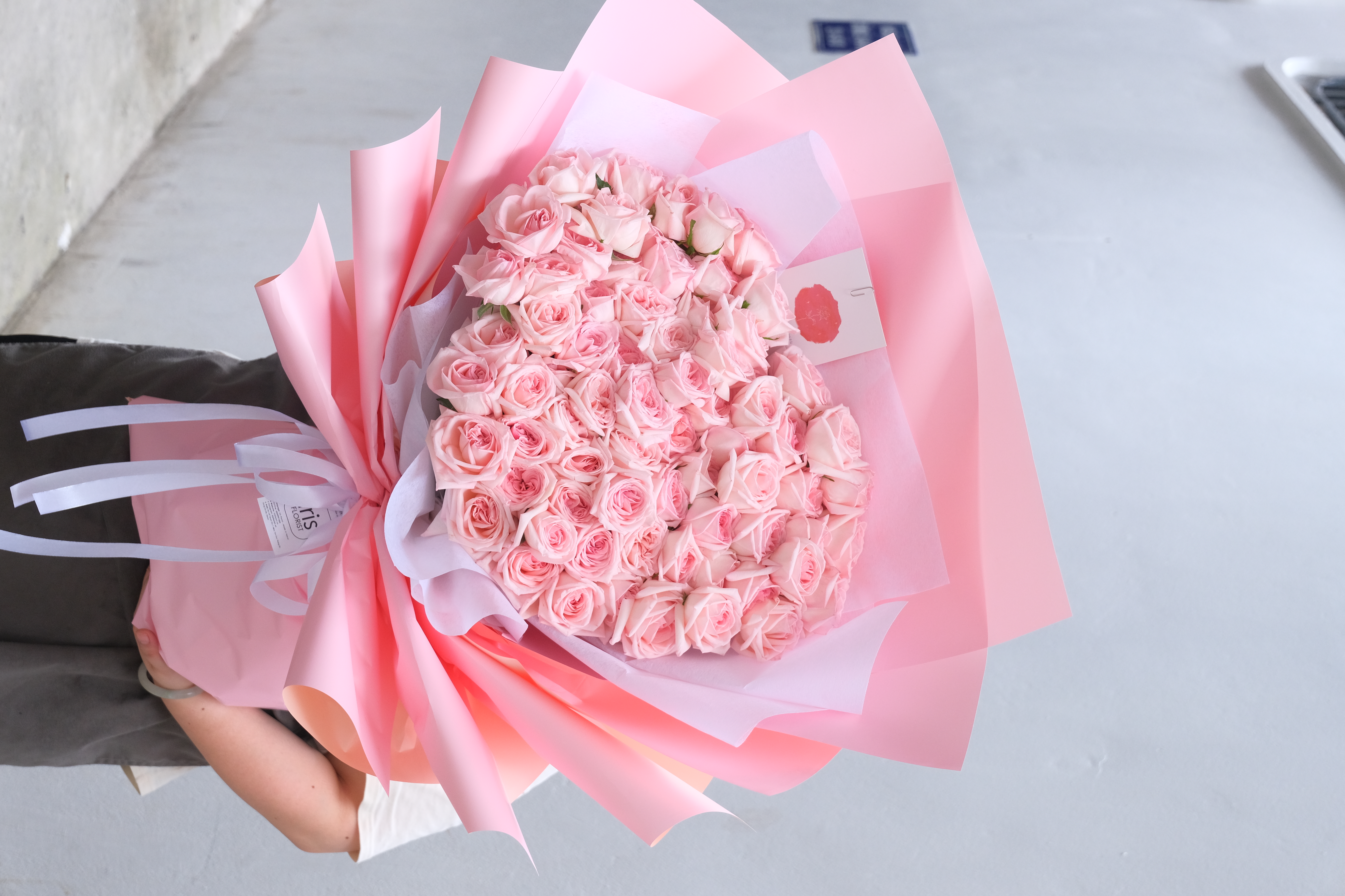 Bó hồng Ohara 70B