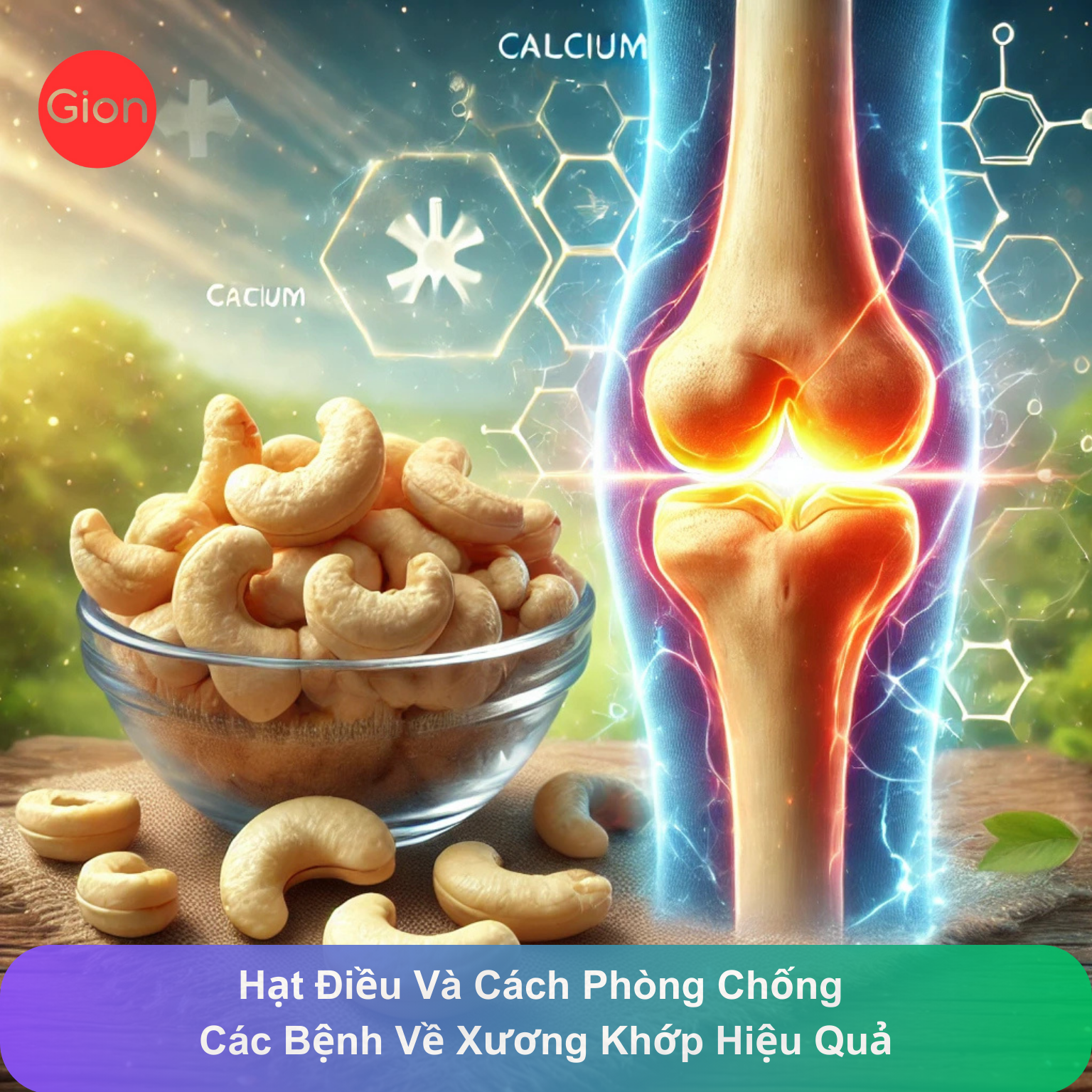 Hạt Điều – “Lá Chắn Tự Nhiên” Bảo Vệ Xương Khớp Khỏe Mạnh