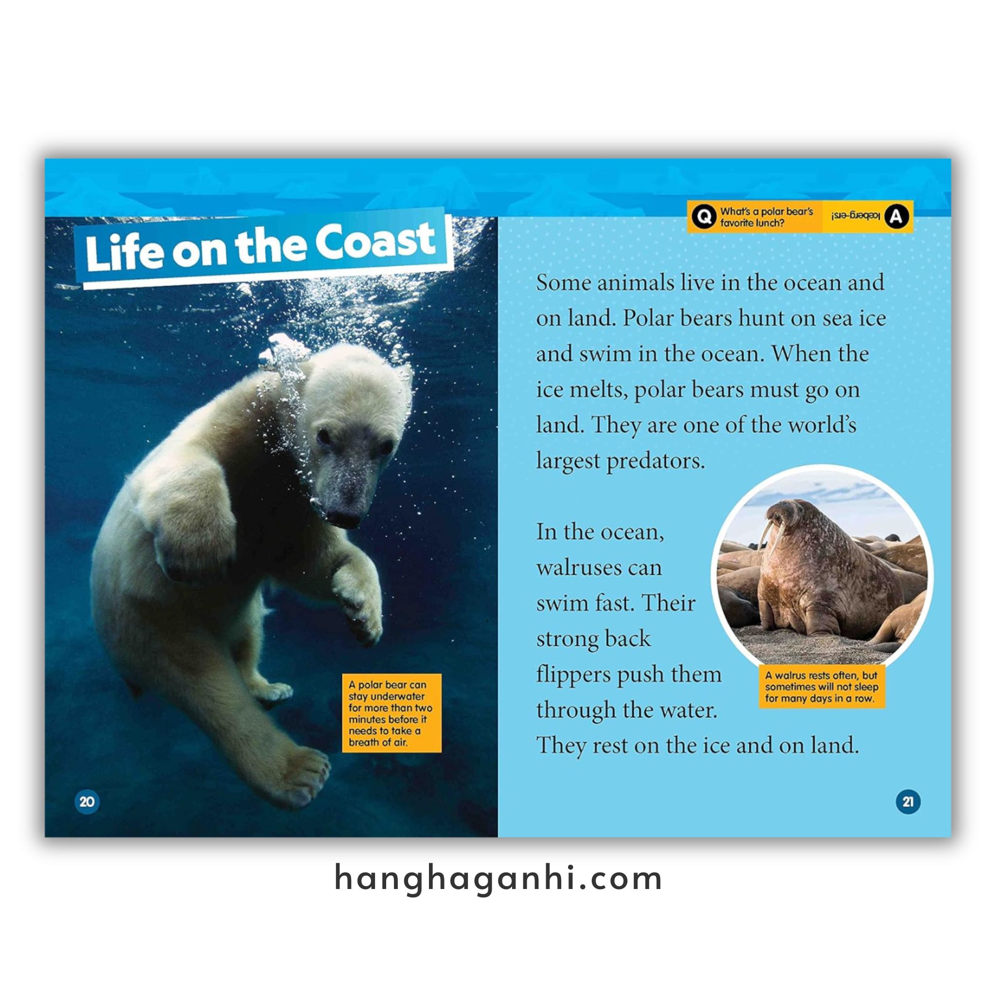 Bộ 41 cuốn National Geographic Kids level 2 - sách Khoa học tiếng Anh nhập khẩu, nguyên seal_thumbnail_11