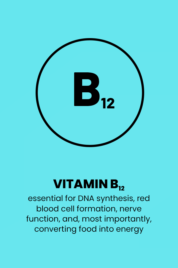VITAMINS B12 ICON