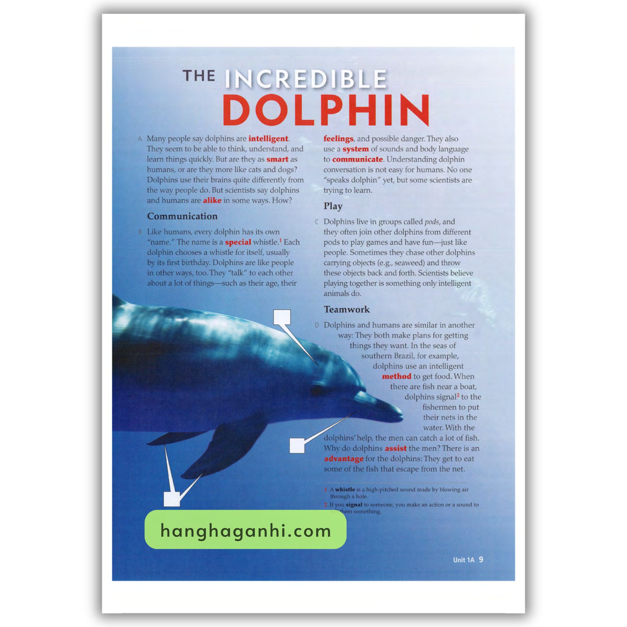 Reading Explorer 3rd Edition Bộ 6 Cuốn_thumbnail_11