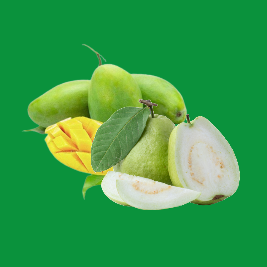 Ổi Nữ Hoàng_thumbnail_1