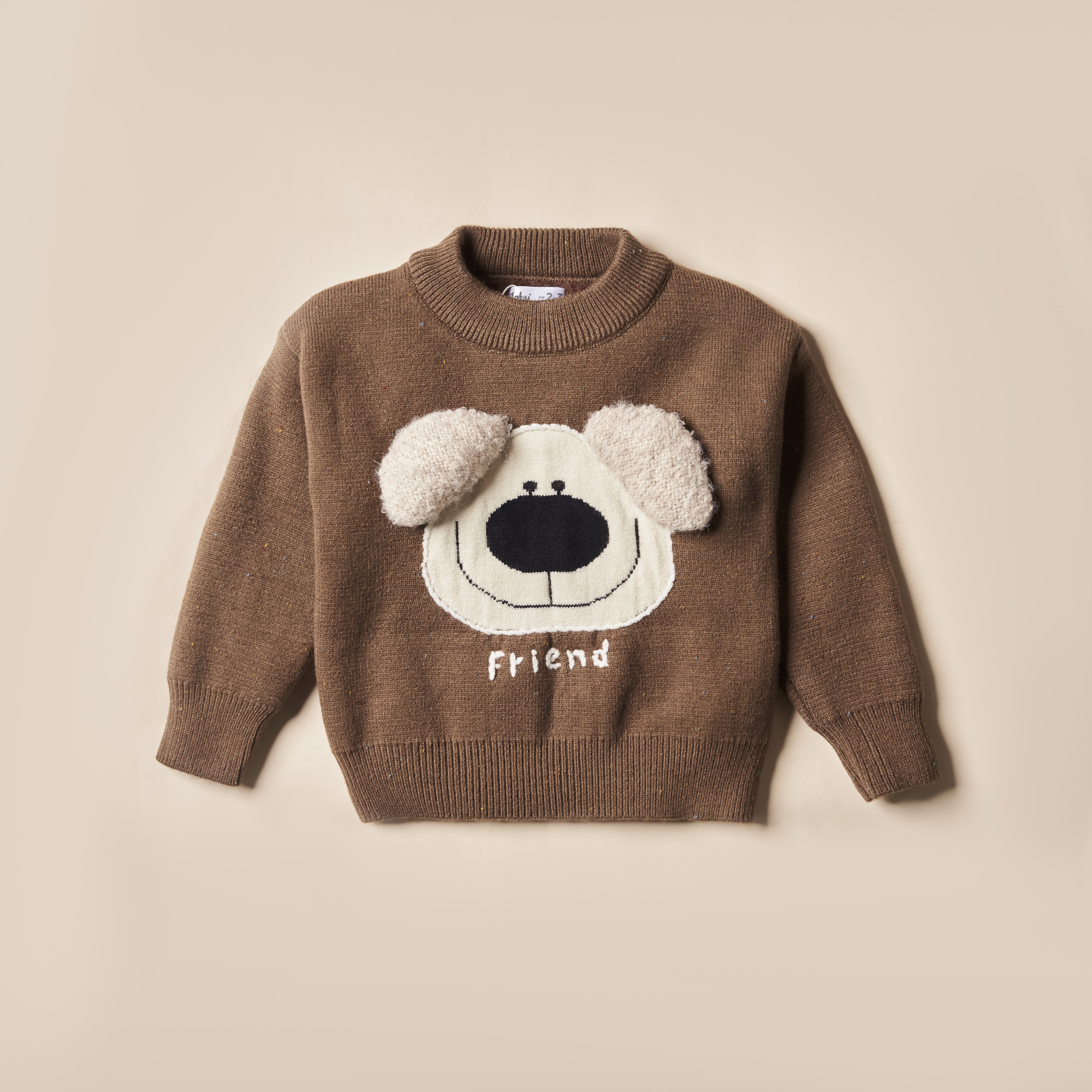 Áo len friend