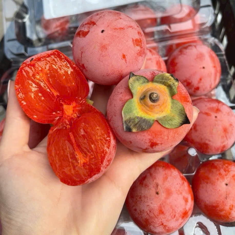 Hồng thạch trân châu_thumbnail_1