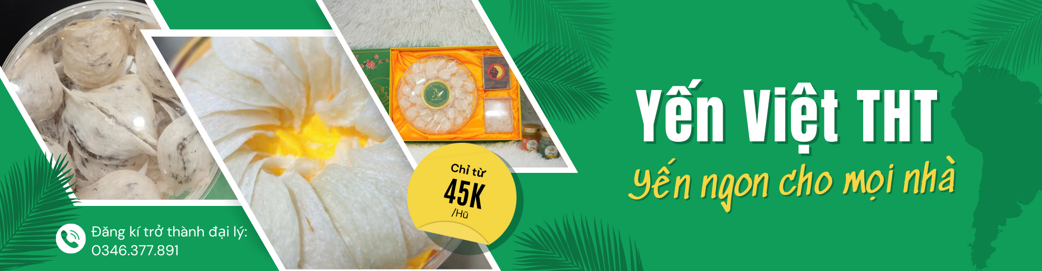 Yến Việt THT