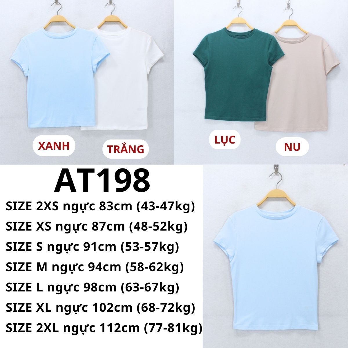 AT198- Áo thun