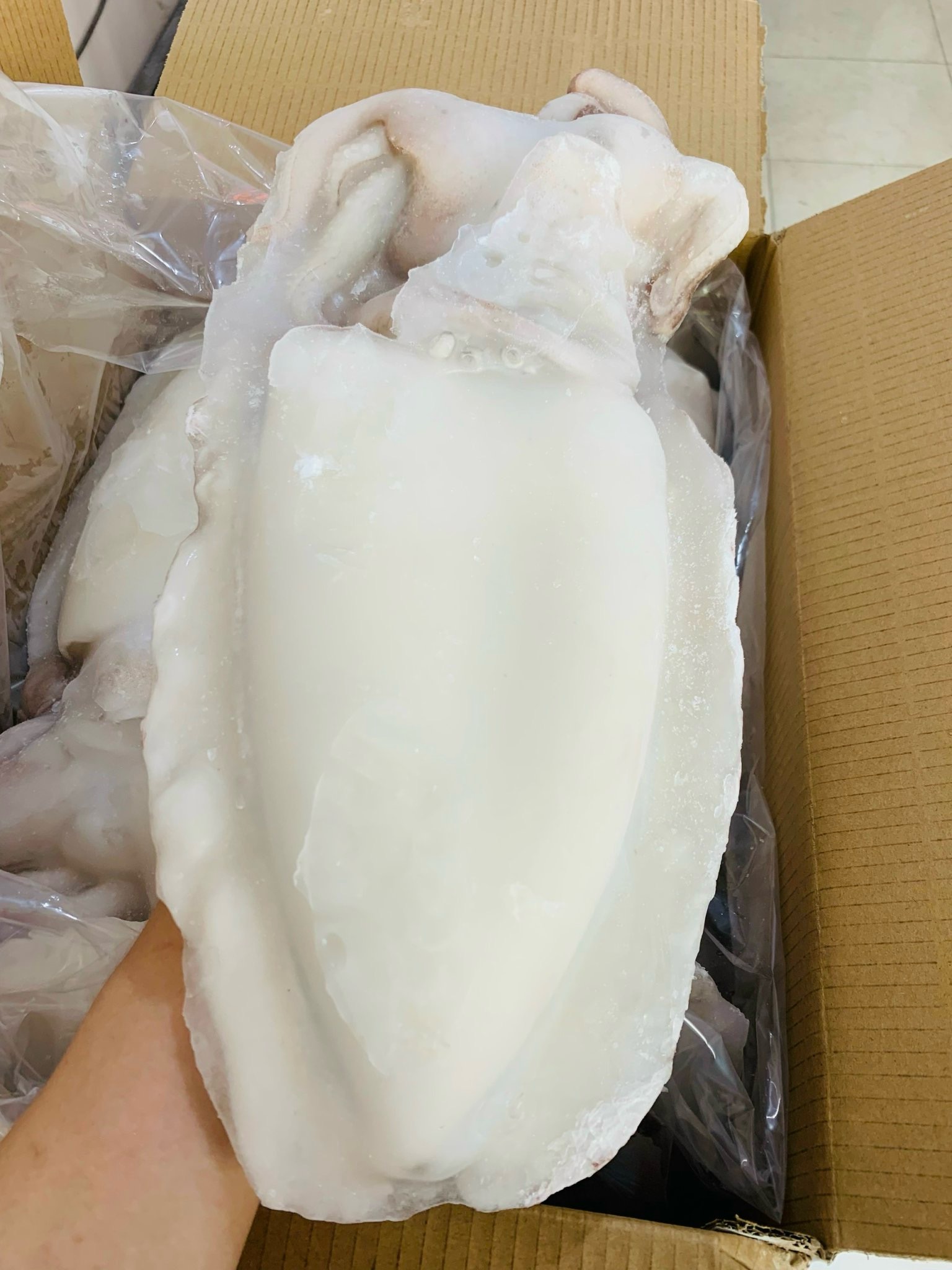Mực nang làm sạch (net8-9)_thumbnail_4