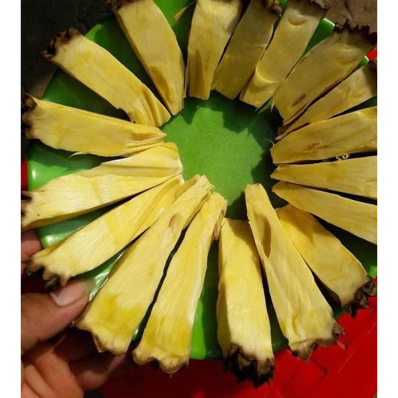 Mít Không Hạt_thumbnail_1