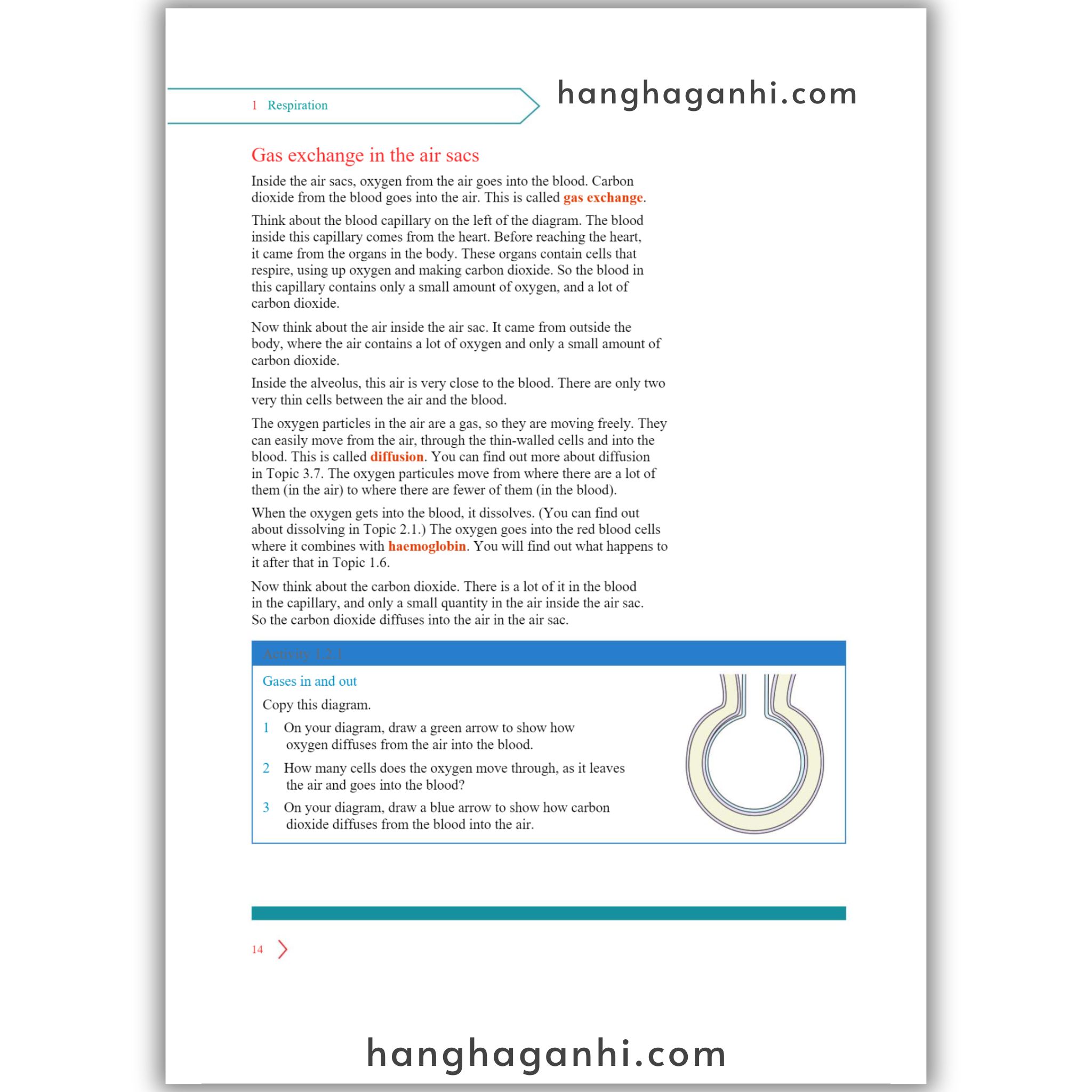 Cambridge Level 8 Lower Secondary Science Learner’S Book 2nd Edition 2021_thumbnail_6