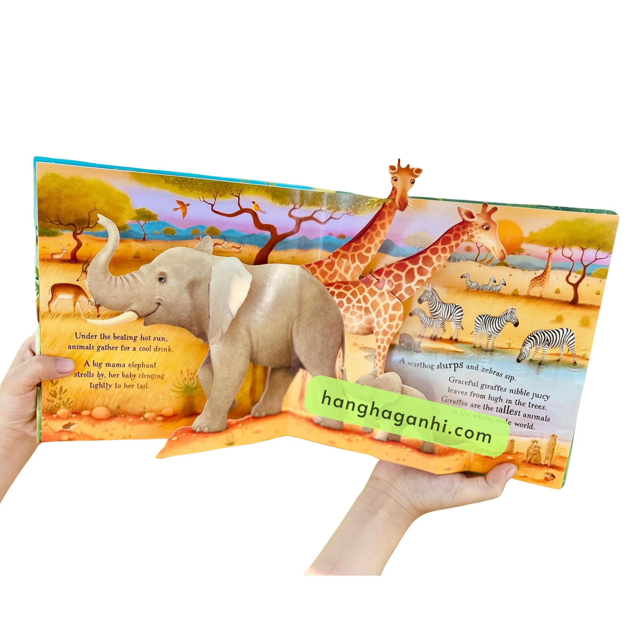 Usborne Popup Animals_thumbnail_2