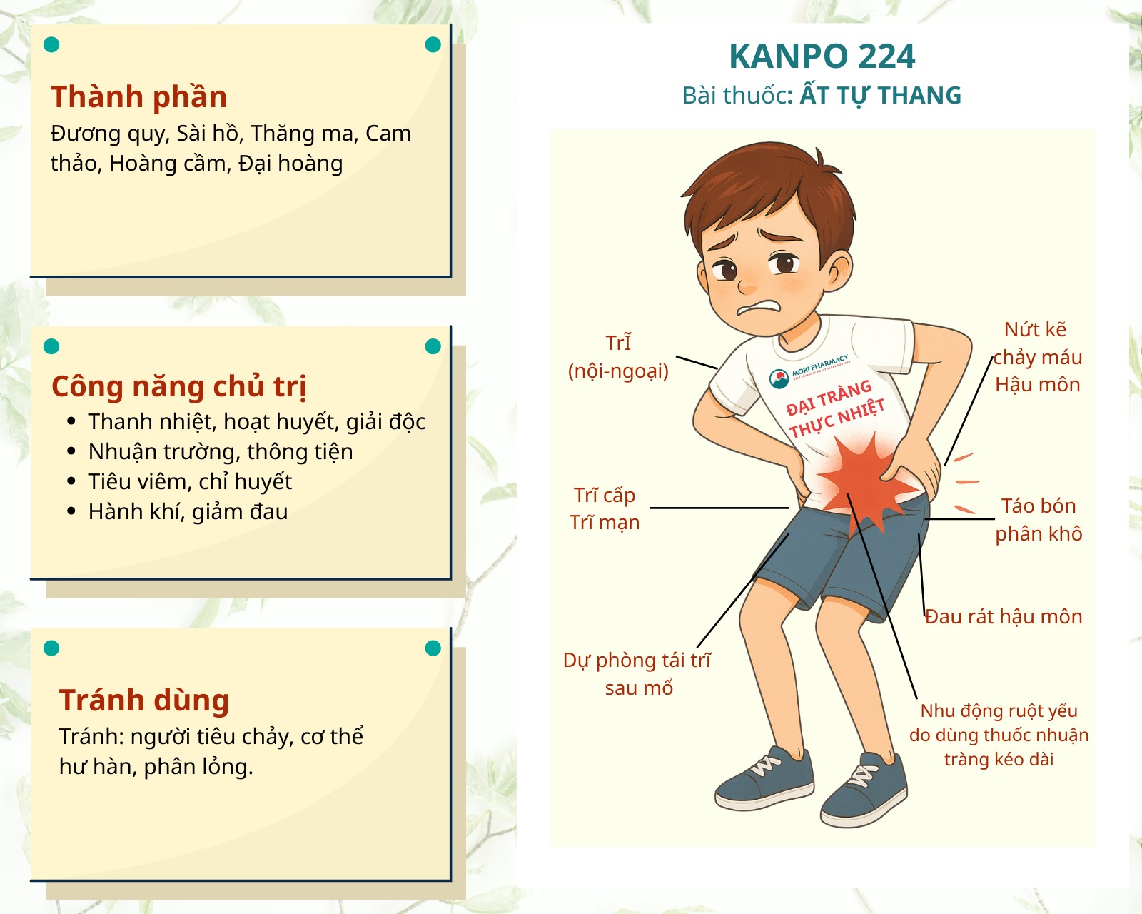 Kanpo 224 - Điều trị trĩ nội, ngoại, hỗn hợp