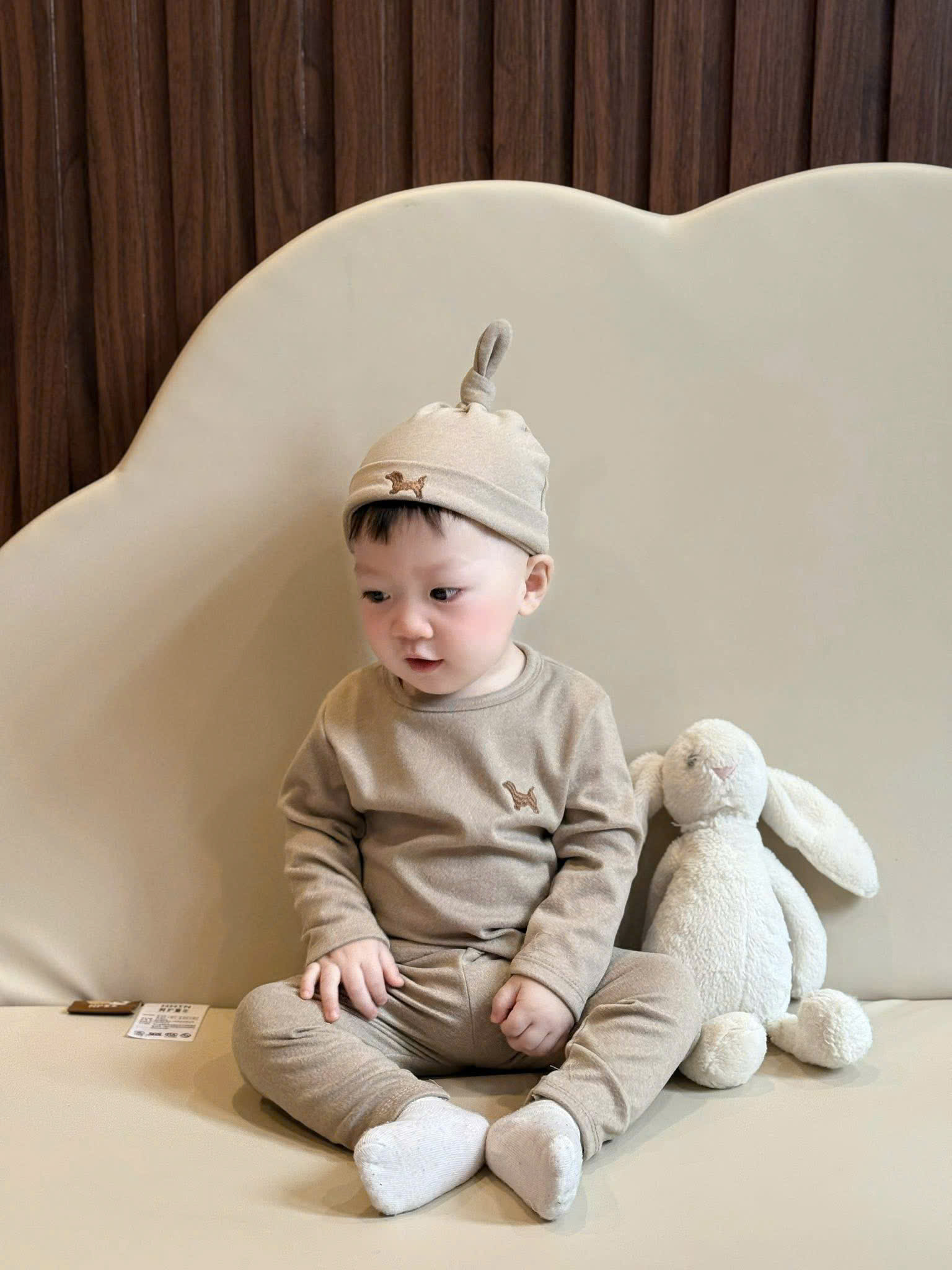 Q46 BỘ DÀI TAY CHÓ NÂU 1 MÀU- A210.376