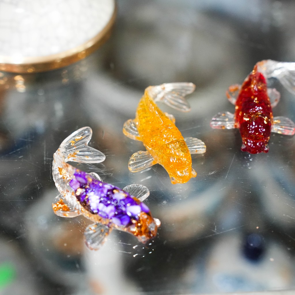 Cá Koi phong thuỷ thả bát sen Minh đường tụ thuỷ Siêu rẻ_thumbnail_1