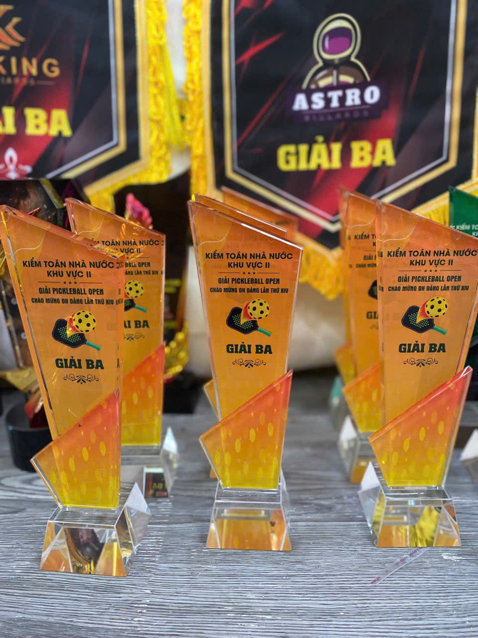 Cúp pha lê thể thao mix kim loại _thumbnail_6