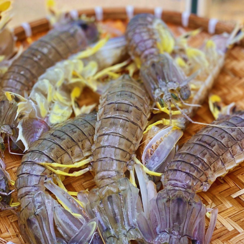 Tôm tít (Thịt bề bề) - Cam kết 100% Tươi sạch, Đầy thịt, Giá ưu đãi