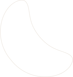 layout-slider1-021