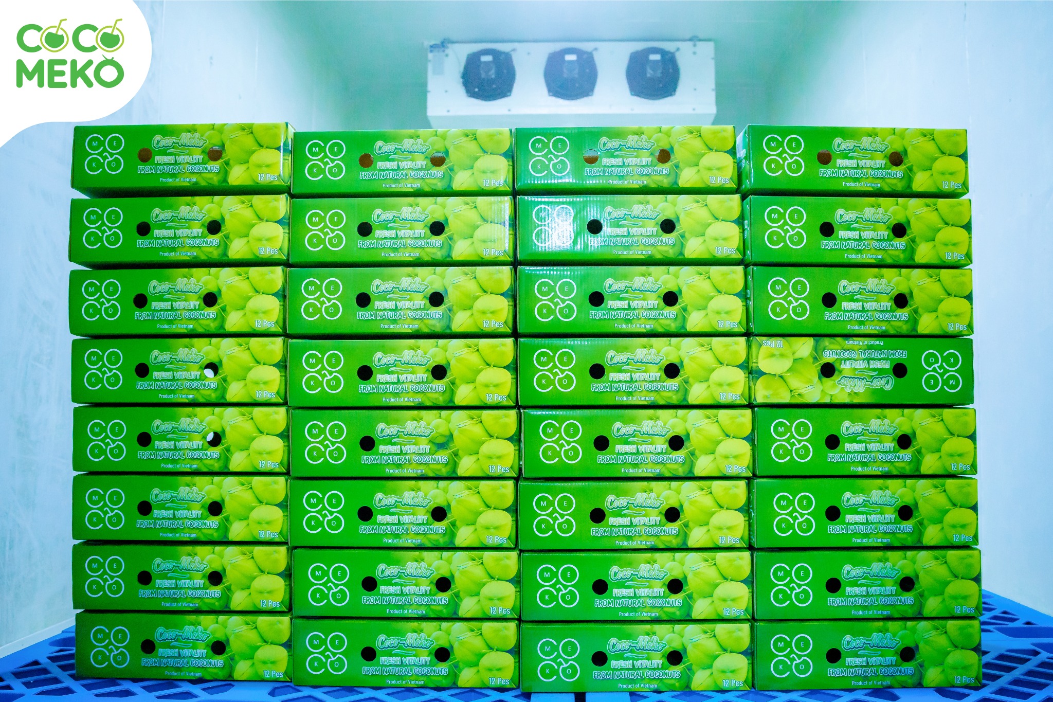 Gift Box of 12 Coconuts_thumbnail_2