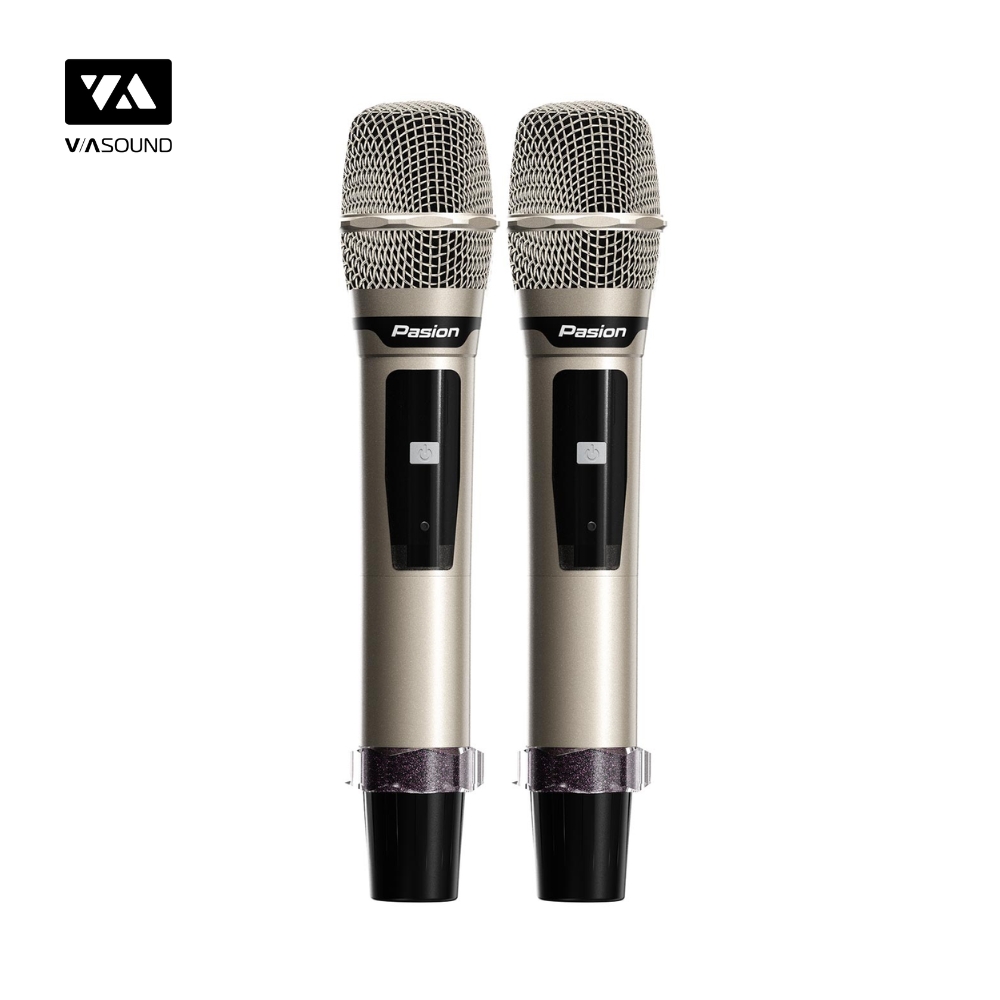 Loa Xách Tay PARAMAX PASION ENZO_thumbnail_12