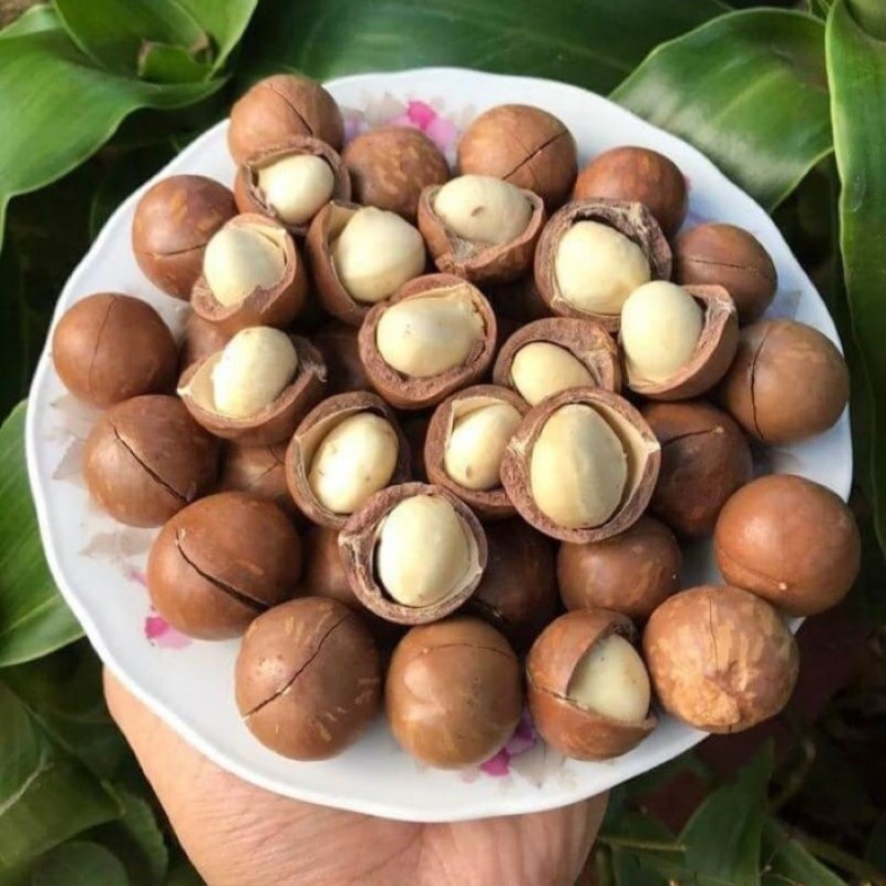 Macca Sấy Nguyên Vỏ_thumbnail_2
