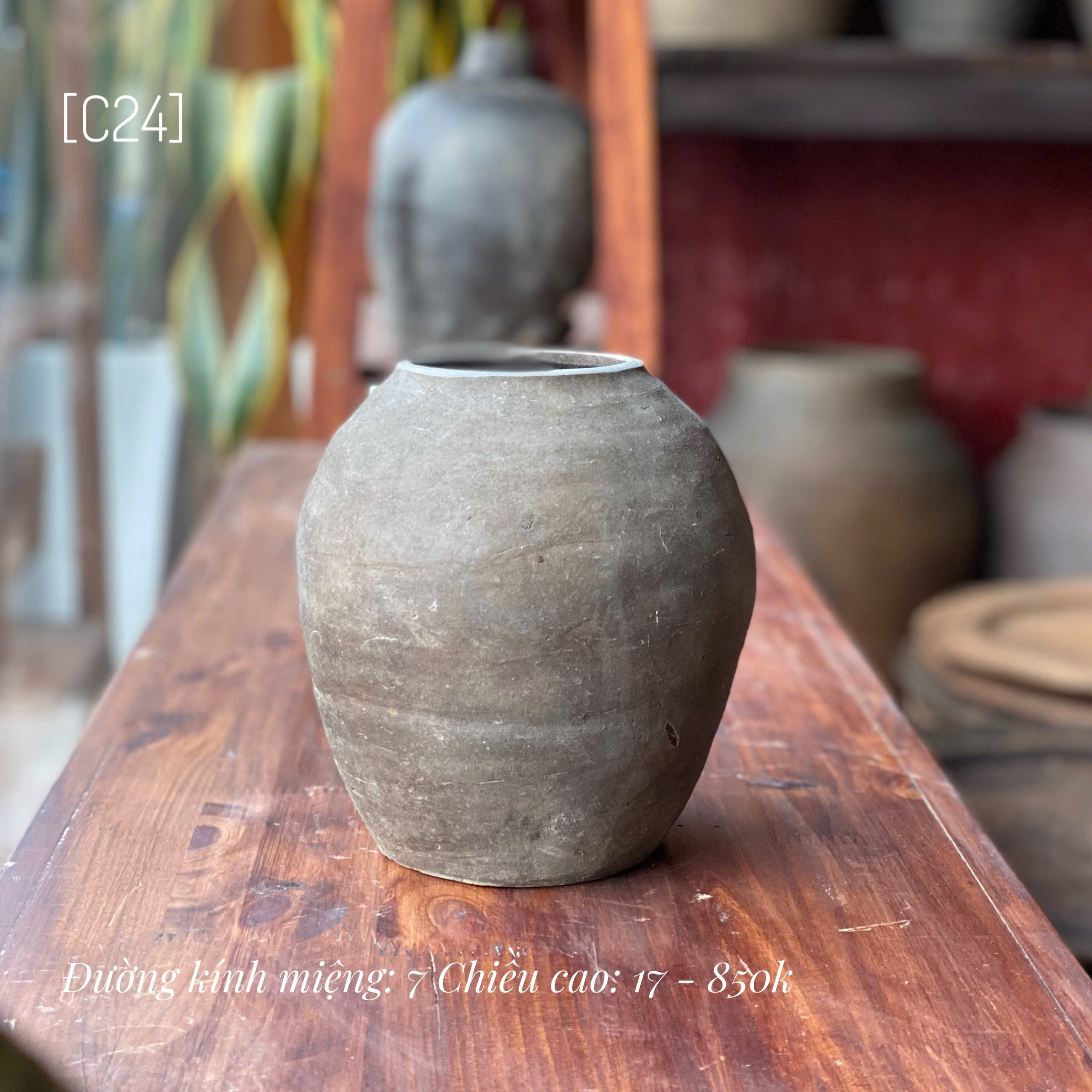 Bình Mường Chanh nhỏ - C24