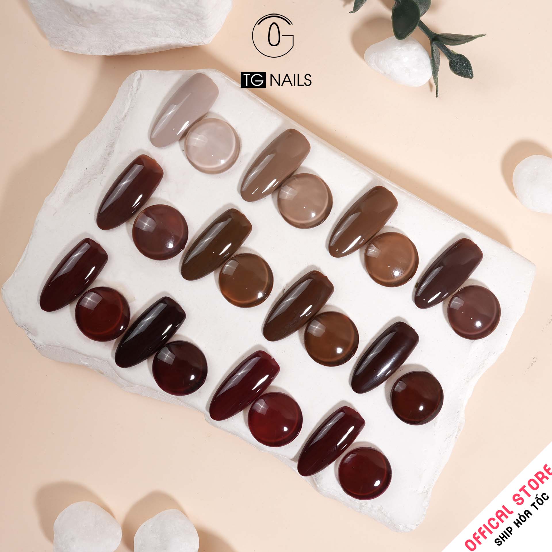 Set sơn gel 12 màu Nâu N-TC12 TG_thumbnail_4