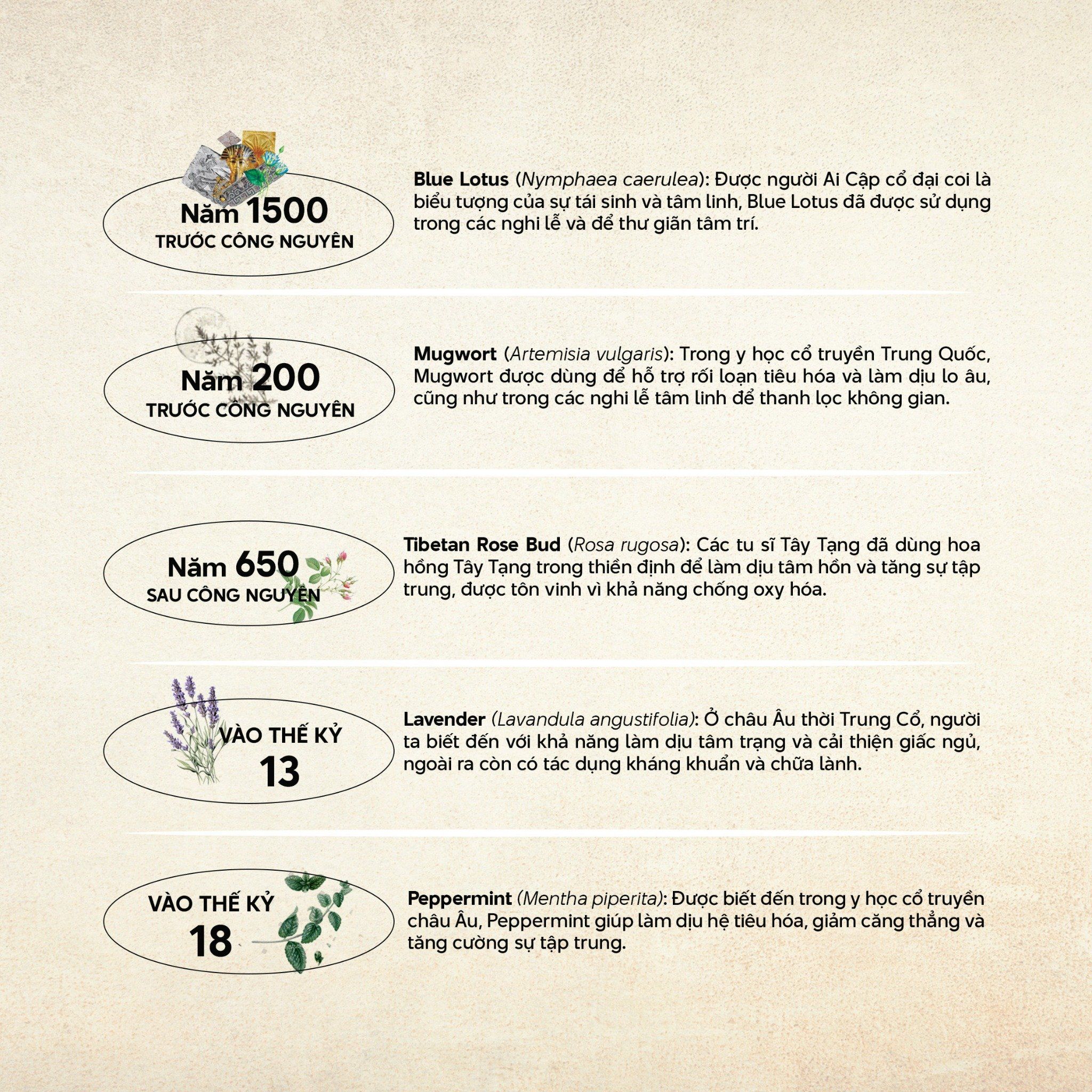 Thanh thảo mộc Eco Herb - Original - PrimePack | Natural's Heal_thumbnail_7