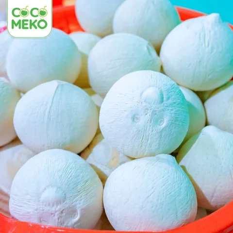 FRESH YOUNG COCONUT_thumbnail_2