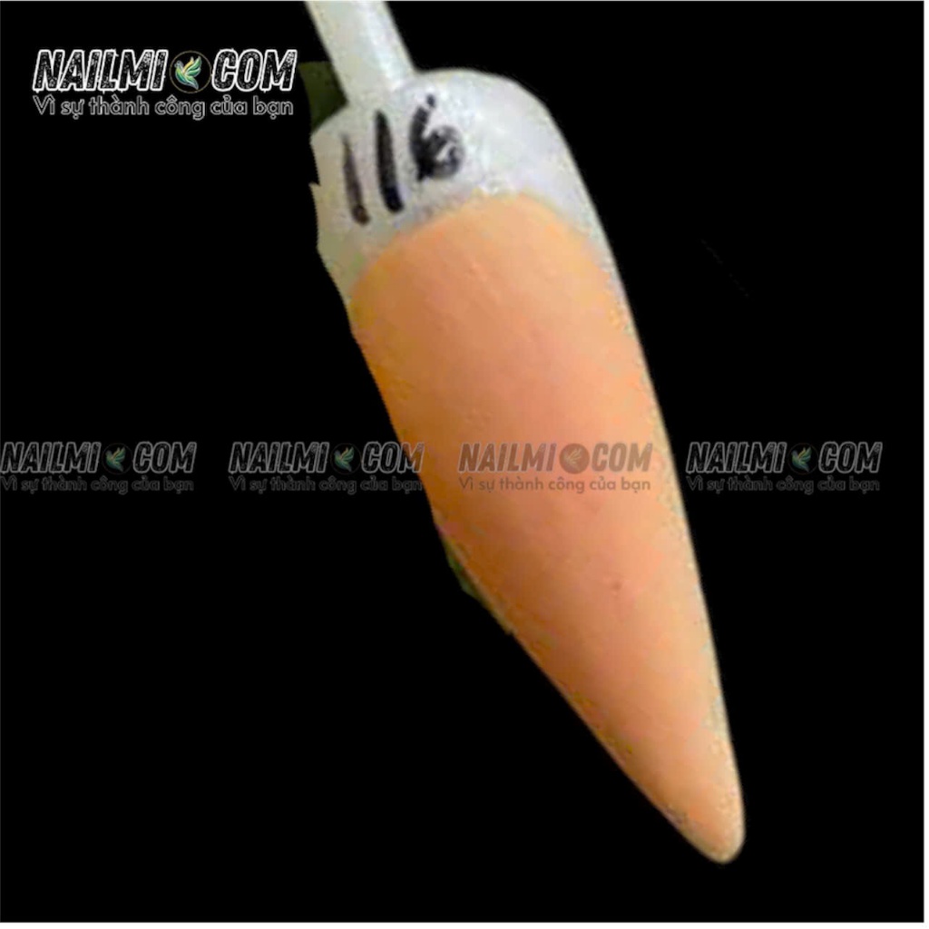 Bột đắp 3in1 - form - ombre - đắp hoa - mã 116