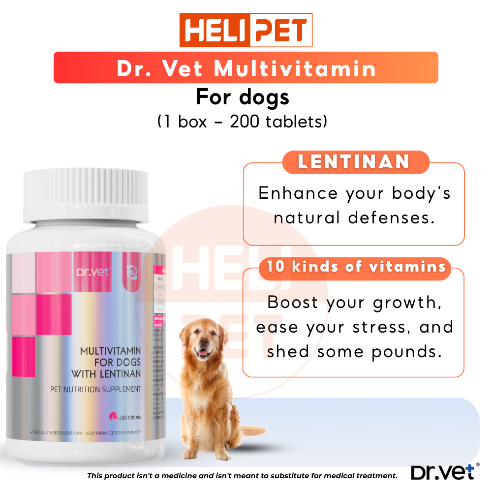 DR.VET Multivitamin for Dogs containing Lentinan (200 tablets)_thumbnail_2