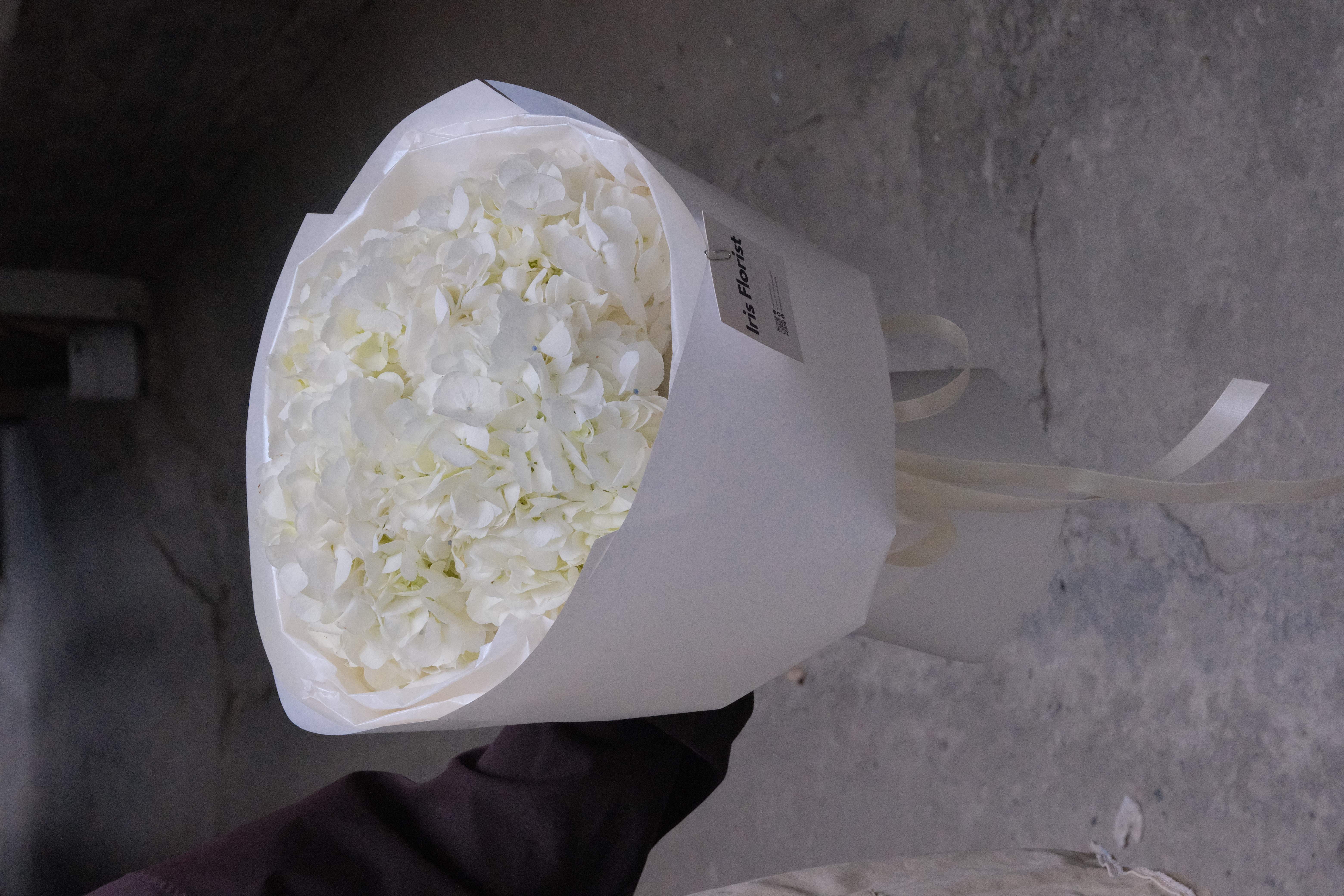 Bó hoa Tú cầu trắng dáng tròn