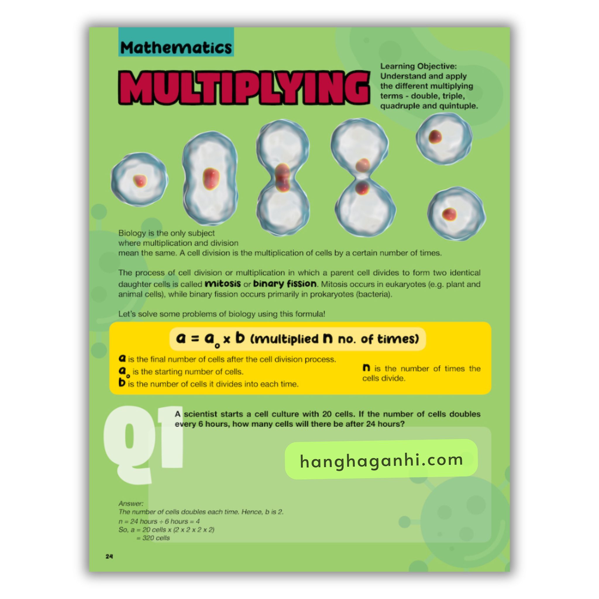 Steam Matters [Sách Nhập Khẩu] – Trọn Bộ 6 Cuốn Về Khoa Học, Công Nghệ, Nghệ Thuật, Toán Học, Sinh Vật, Môi Trường_thumbnail_14