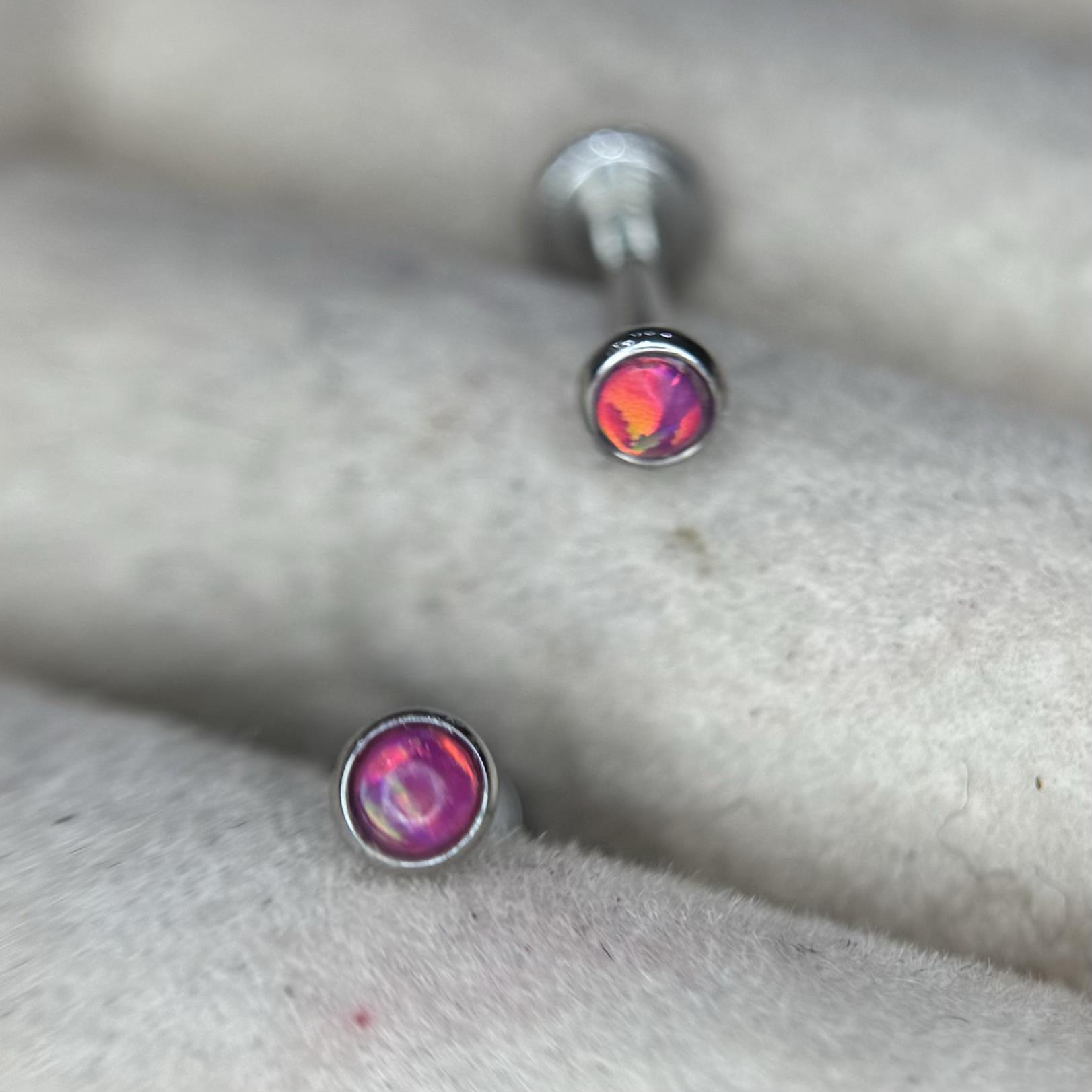 Opal đít dẹt đỏ size 3._thumbnail_0