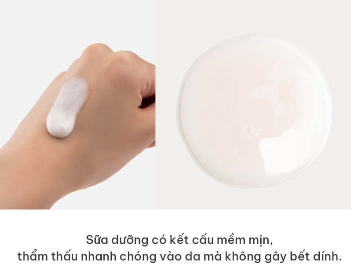 COMBO HUKSAMSOO BLACK GINSENG PREMIUM ANTI-AGING & OIL CONTROL SKINCARE - Bộ Chăm Sóc Da Dầu Lão Hoá Cao Cấp Hắc Sâm - Chiết Xuất Hắc Sâm, Niacinamide, Panthenol -  [HSS009]_thumbnail_6