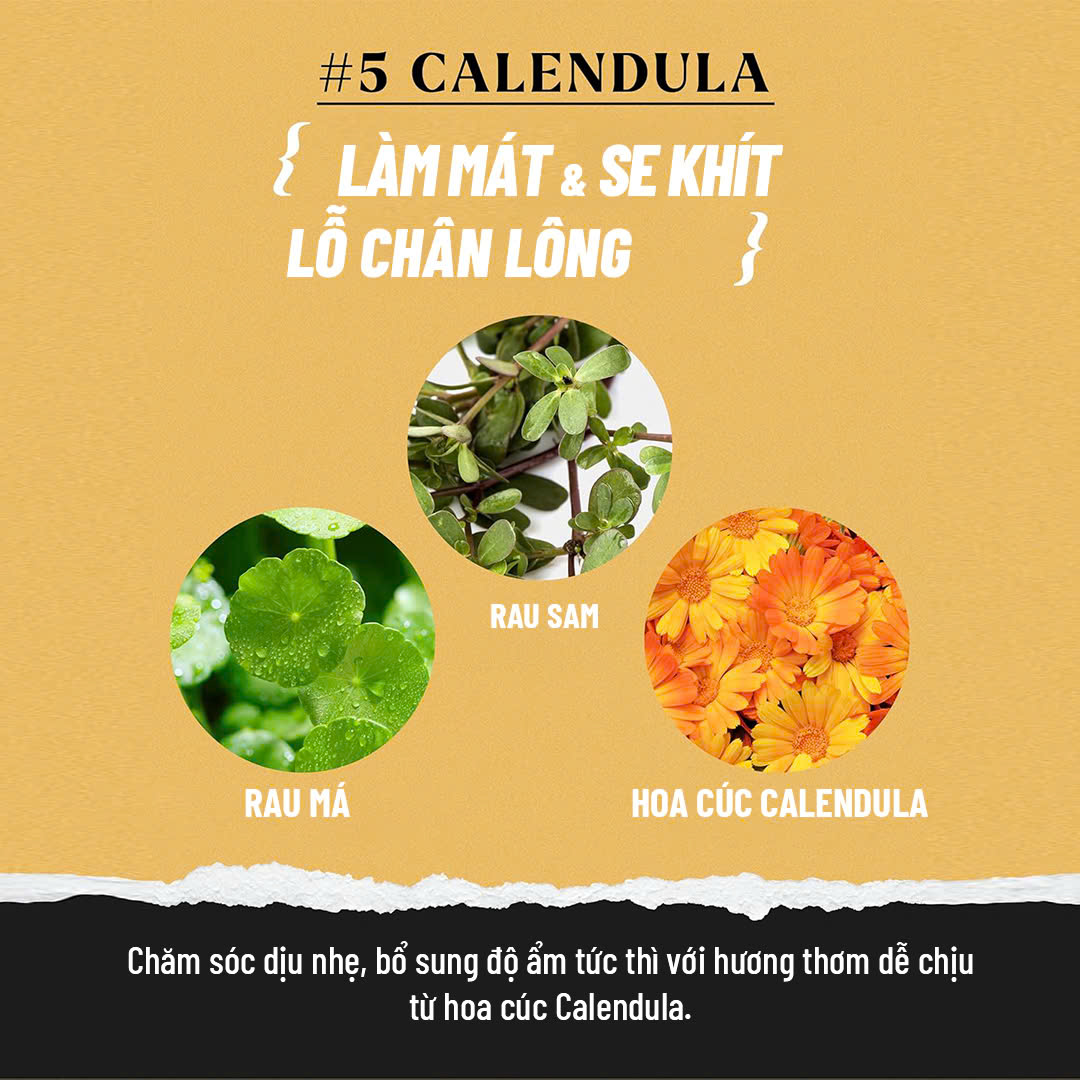 Mặt Nạ Thạch Dạng Cốc Lindsay Hoa Cúc Calendula_thumbnail_1