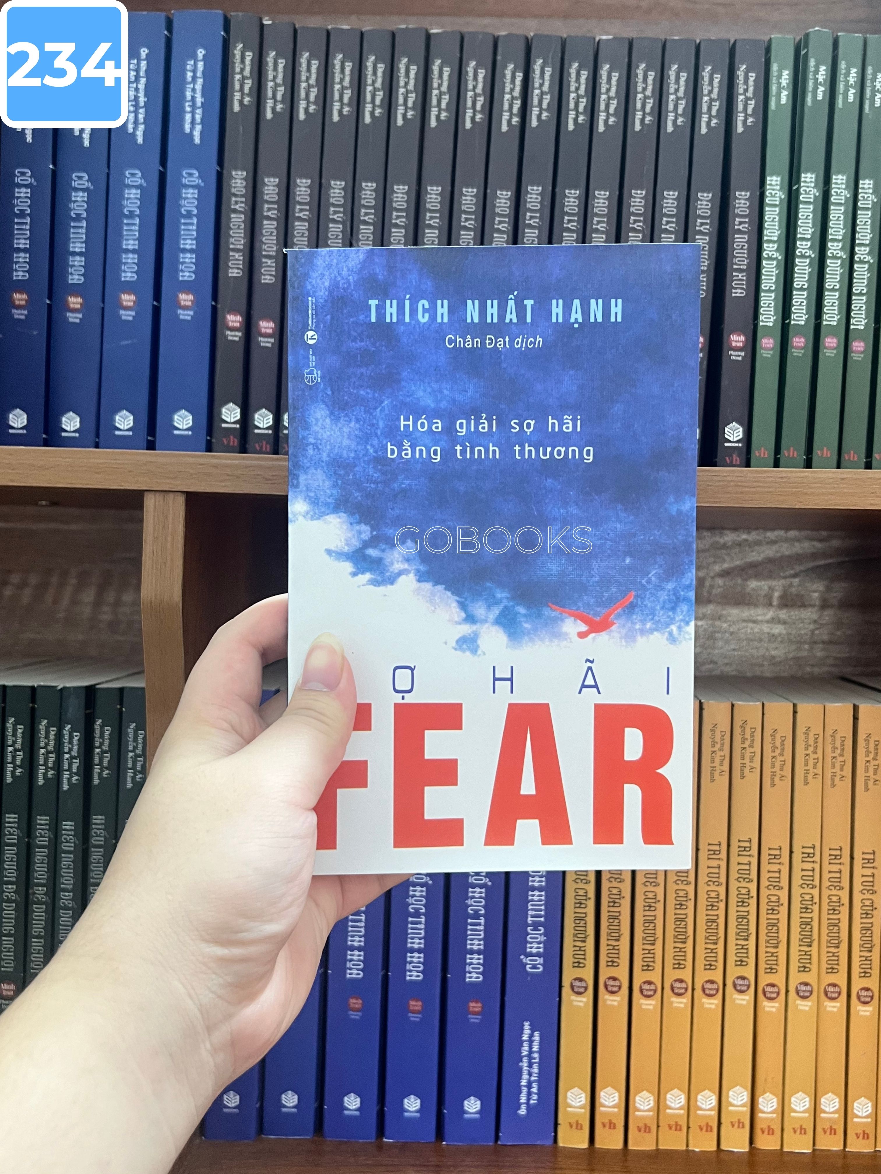 Fear Sợ Hãi - Thích Nhất Hạnh_thumbnail_1
