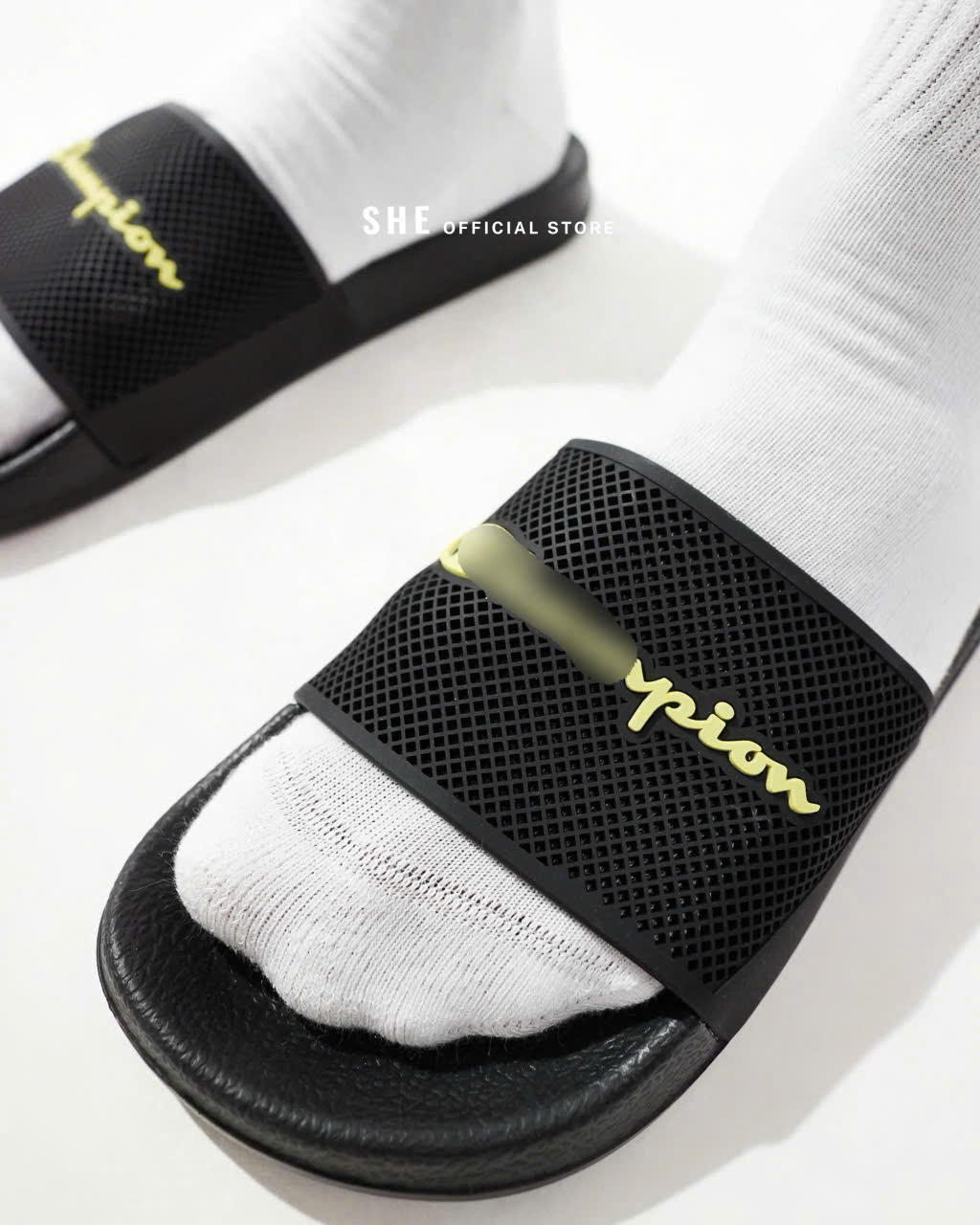 H495 DÉP CHAMPION_thumbnail_2