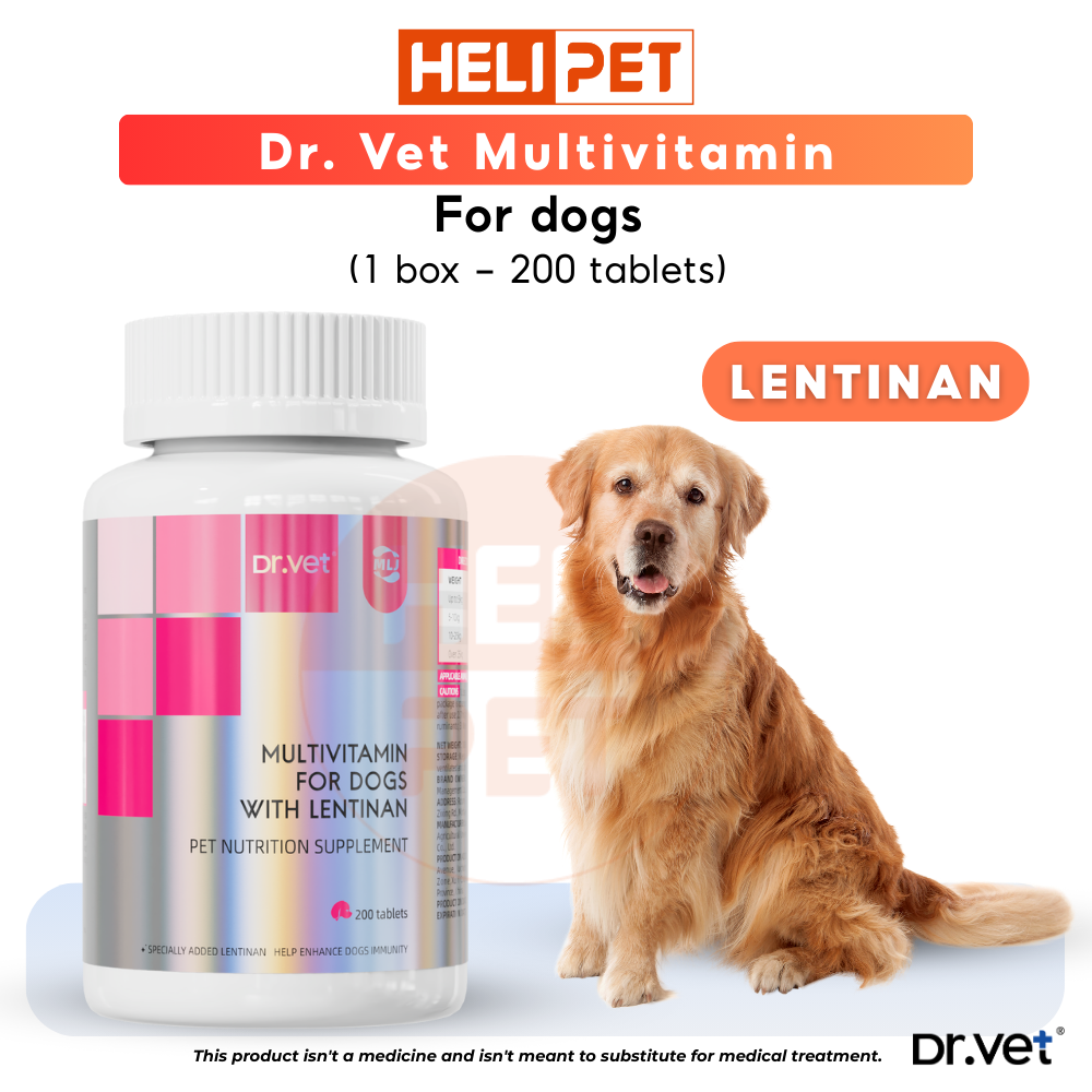 DR.VET Multivitamin for Dogs containing Lentinan (200 tablets)