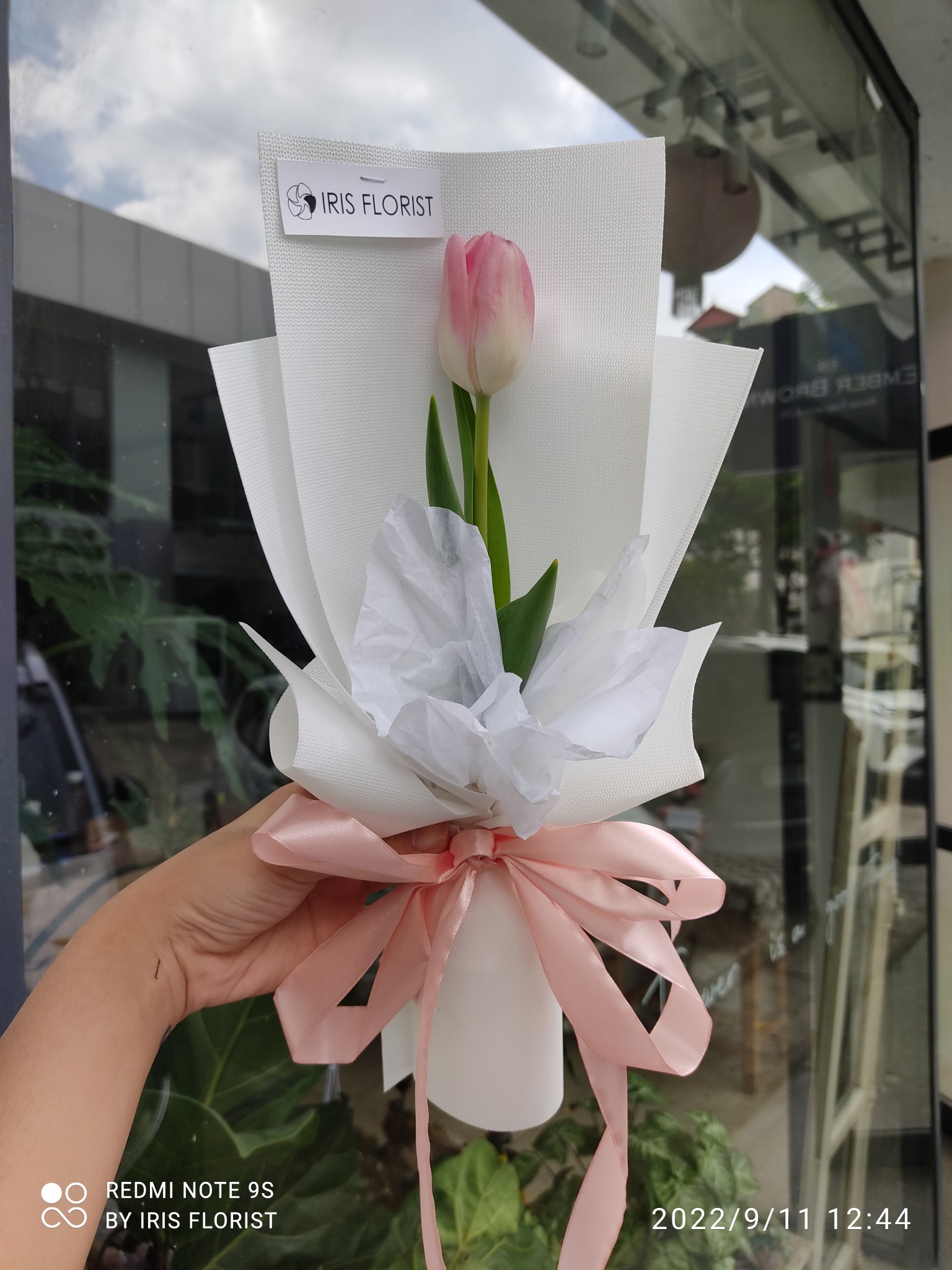 Tulip hồng nhạt - Mini Bouquet