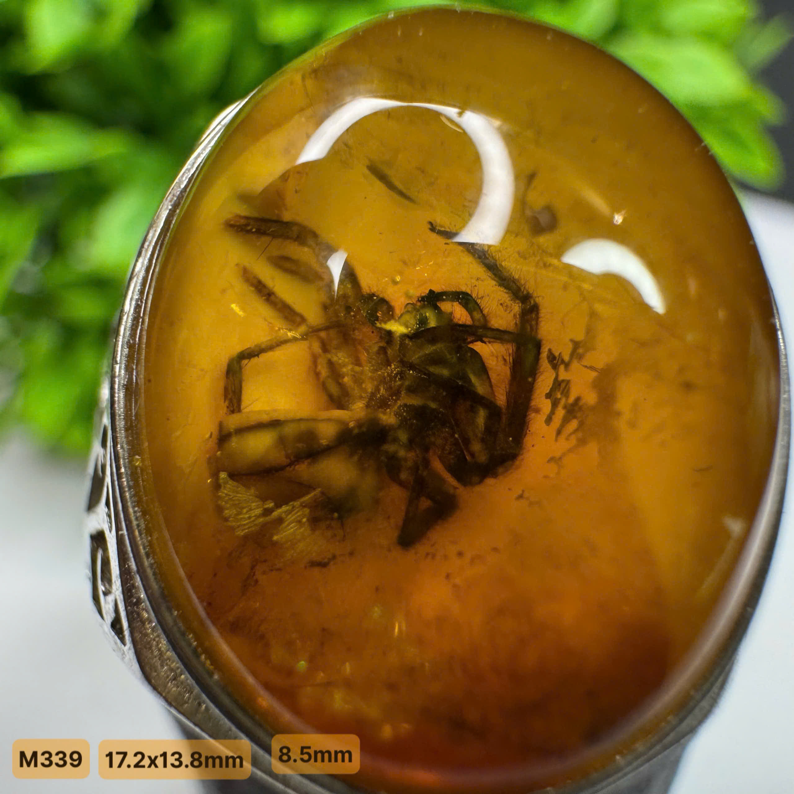 Nhẫn Côn Trùng Nhện Đại - M339