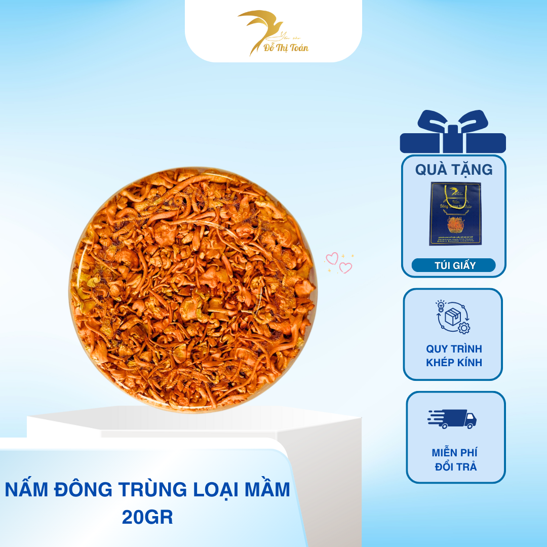 [D2] NẤM ĐÔNG TRÙNG HẠ THẢO LOẠI MẦM- HỘP 20GR