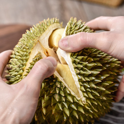 Trái - Sầu Riêng Chuồng Bò cổ - khui sầu_thumbnail_1