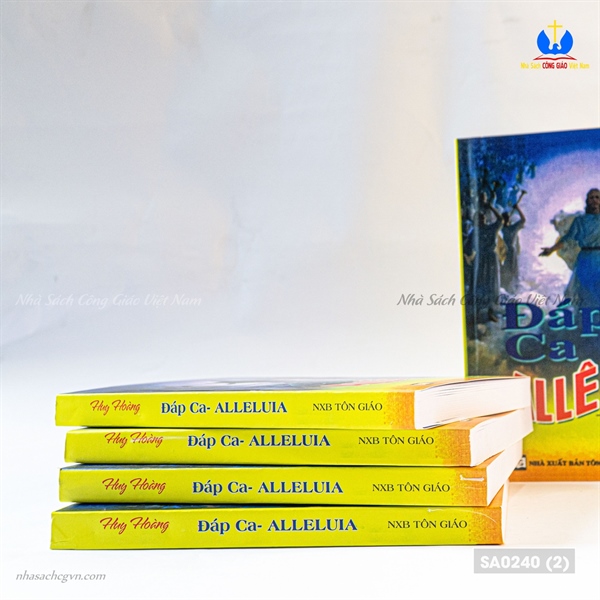 Sách đáp ca Huy Hoàng ✔_thumbnail_2