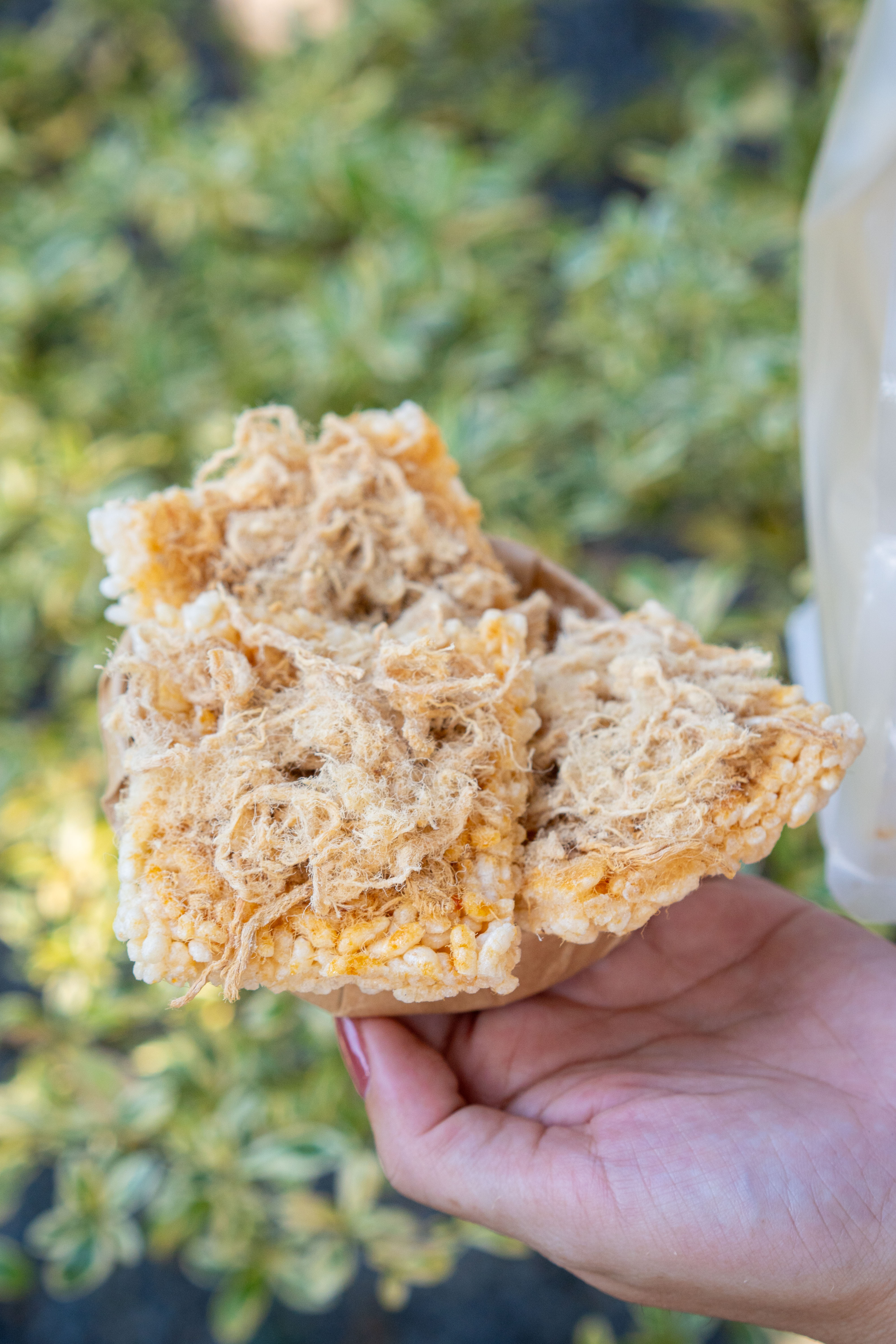 CƠM CHÁY CHÀ BÔNG TÚI 25 MIẾNG