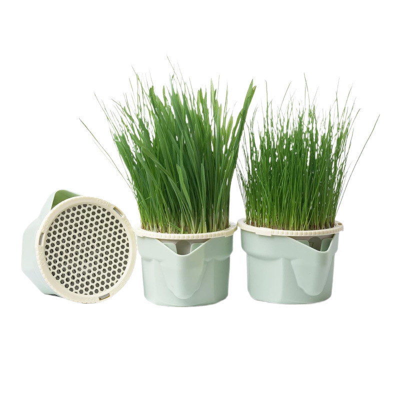 กล่องปลูกหญ้าแมวแบบสะดวกสบาย_thumbnail_3