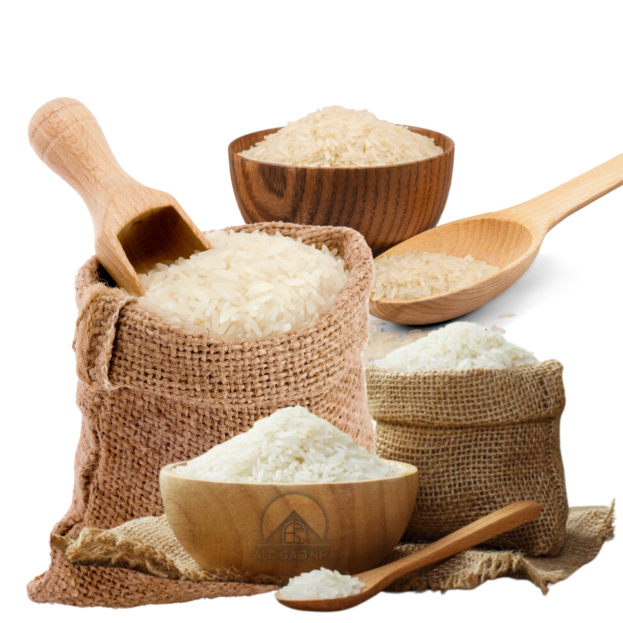 Gạo_0