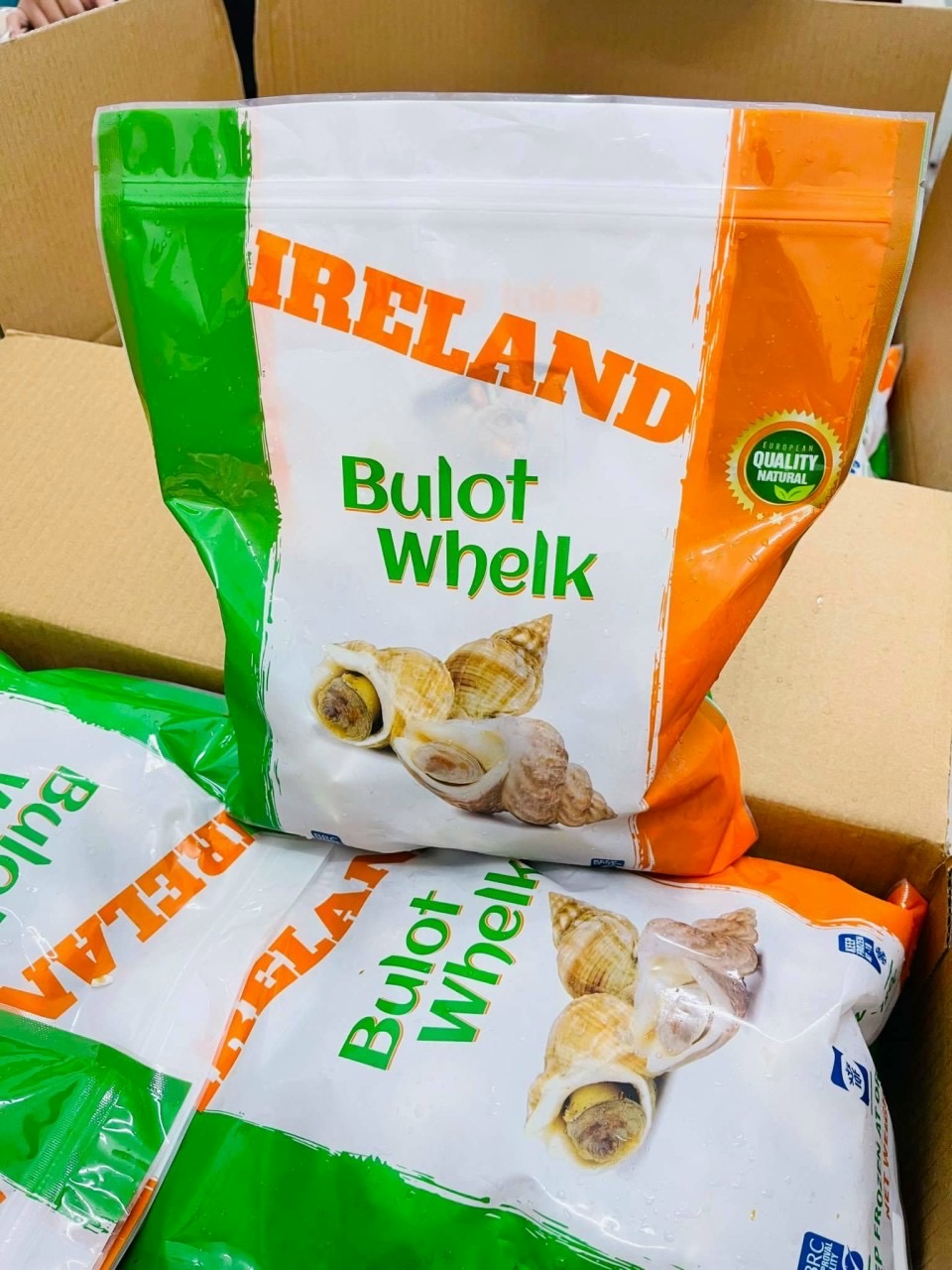 Ốc Bulot Ireland_thumbnail_3