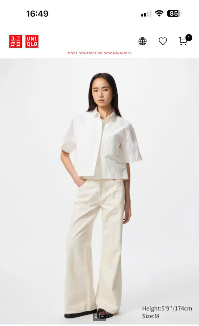 AM173 Sơmi Uni (lê- vê)_thumbnail_3