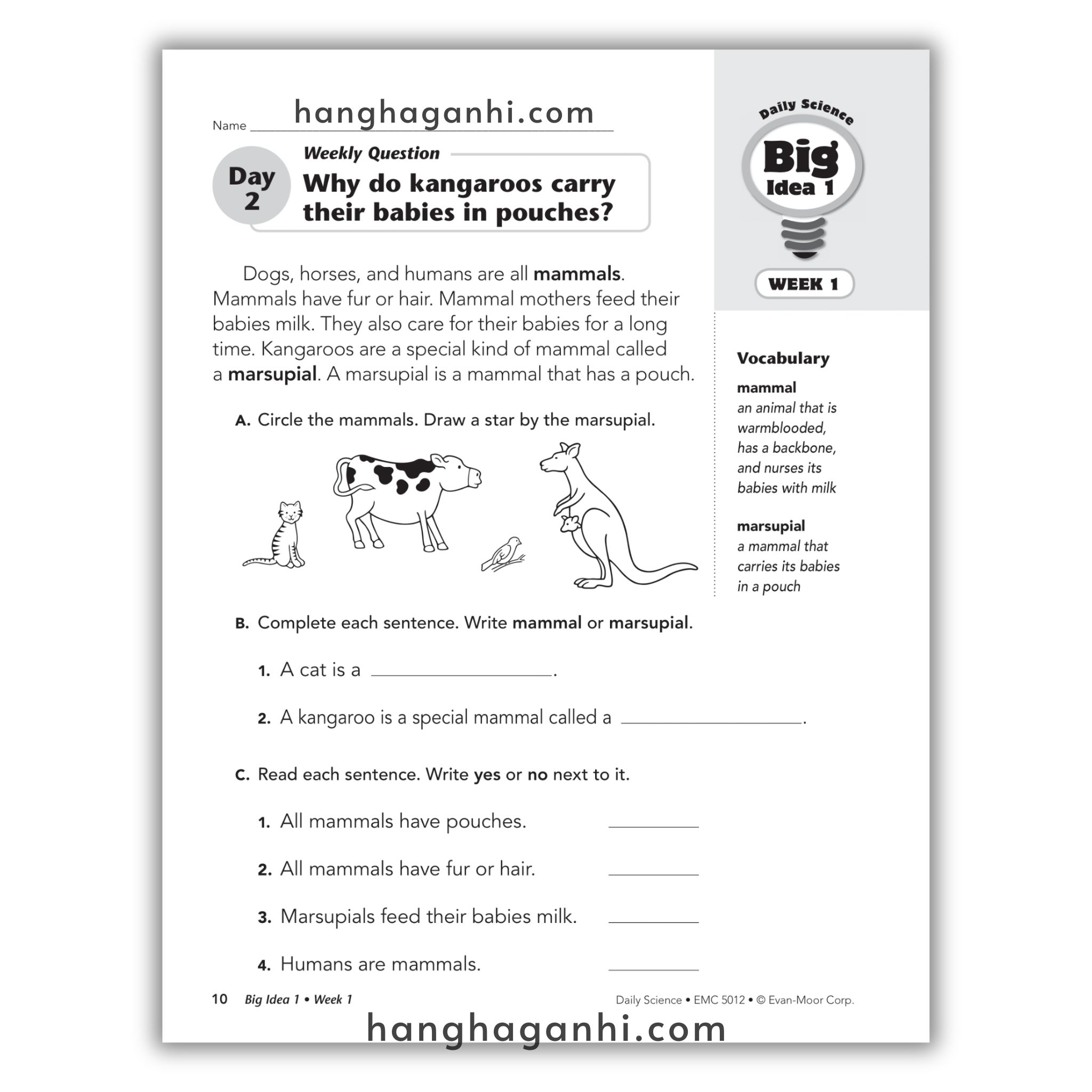 Daily Science Grade 2_thumbnail_1