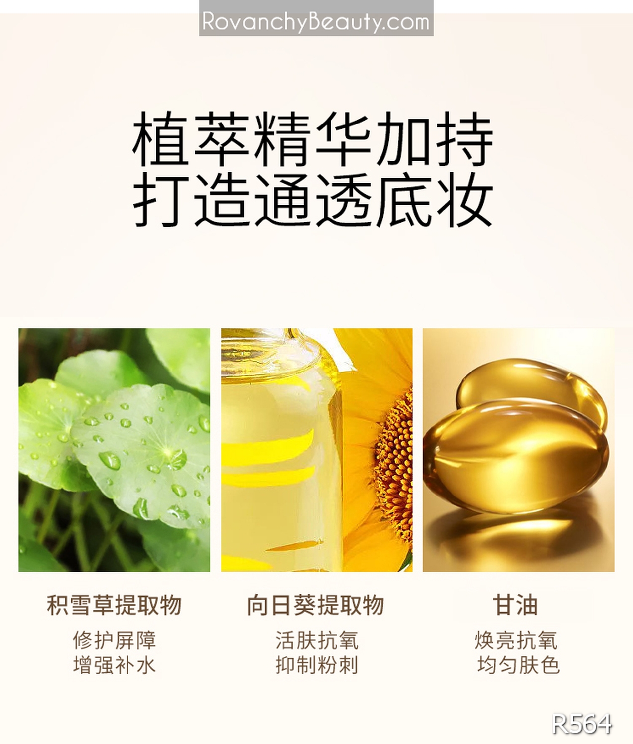 Kem nền R564 ROVANCHY Sunflower Light Foundation 35ml - Lớp nền hoàn hảo, che phủ tự nhiên_thumbnail_9