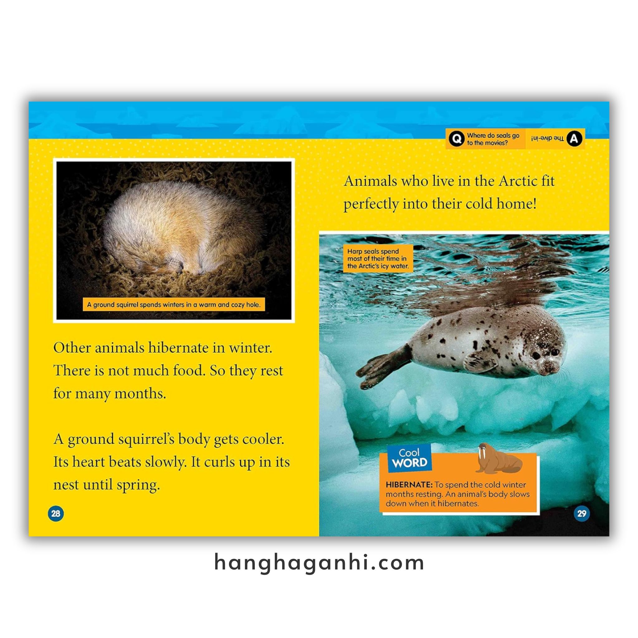 Bộ 41 cuốn National Geographic Kids level 2 - sách Khoa học tiếng Anh nhập khẩu, nguyên seal_thumbnail_14